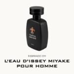 Perfume Contratipo Inspirado em L’Eau d’Issey Pour Homme